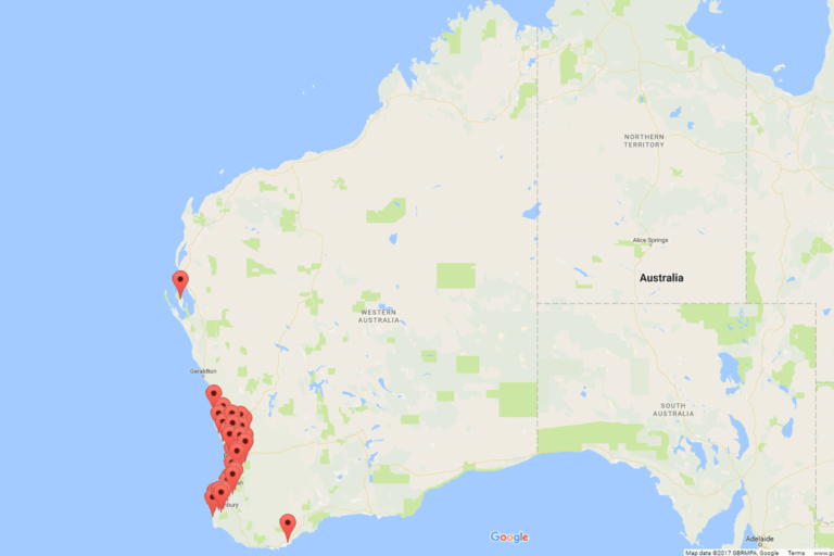 Composite Decking Timber Decking Decking Perth